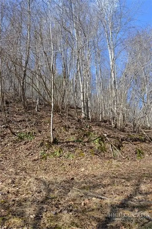 Picture 38