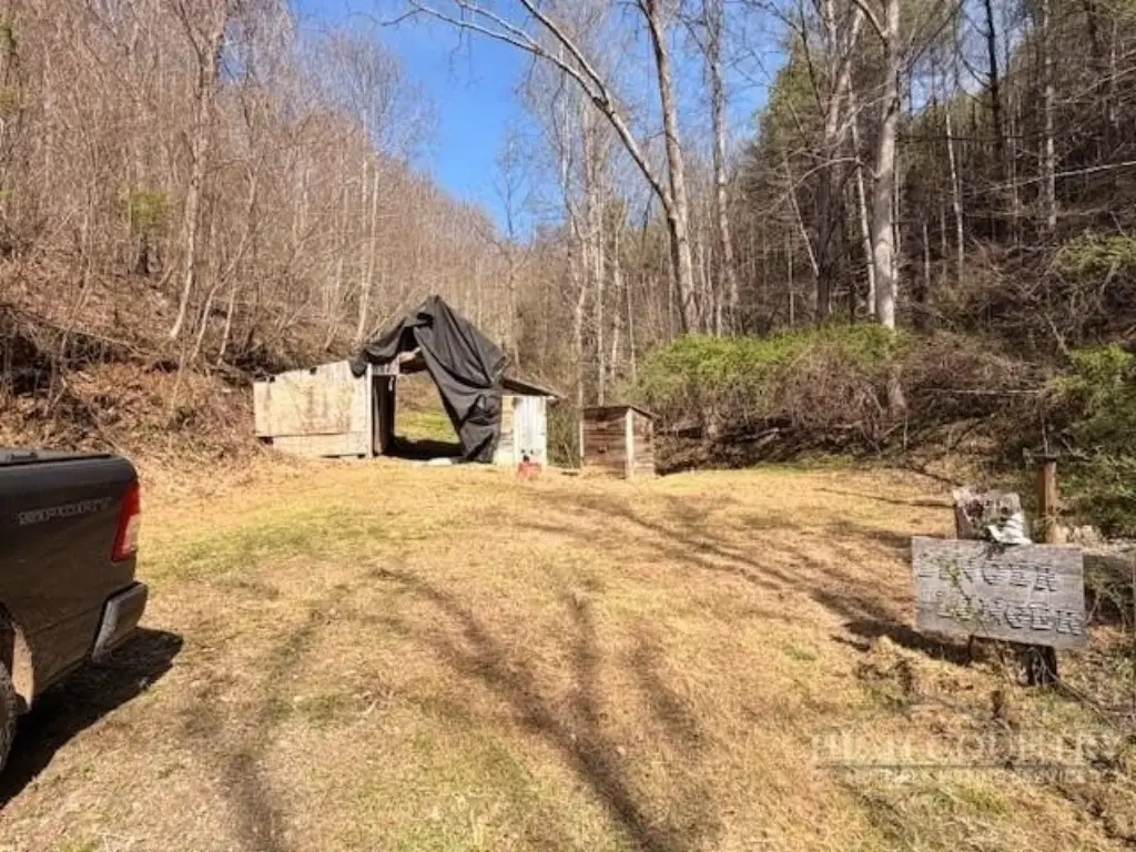 Picture 5