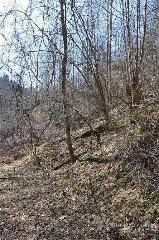 Picture 41