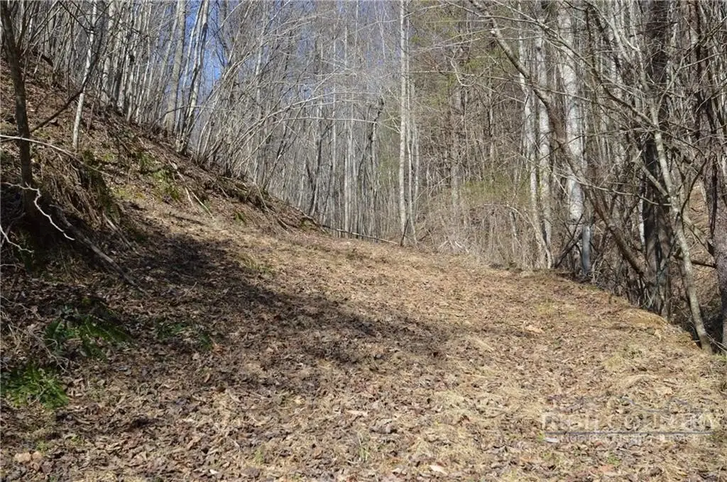Picture 36
