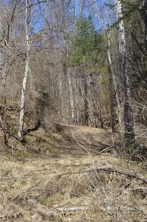 Picture 35