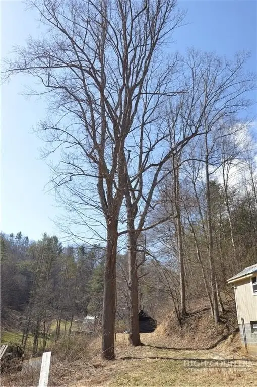 Picture 29