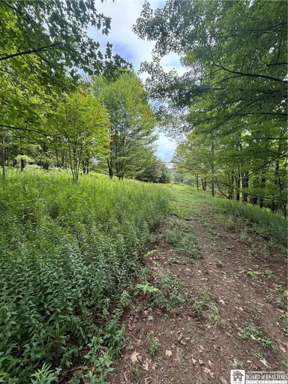 Picture 23