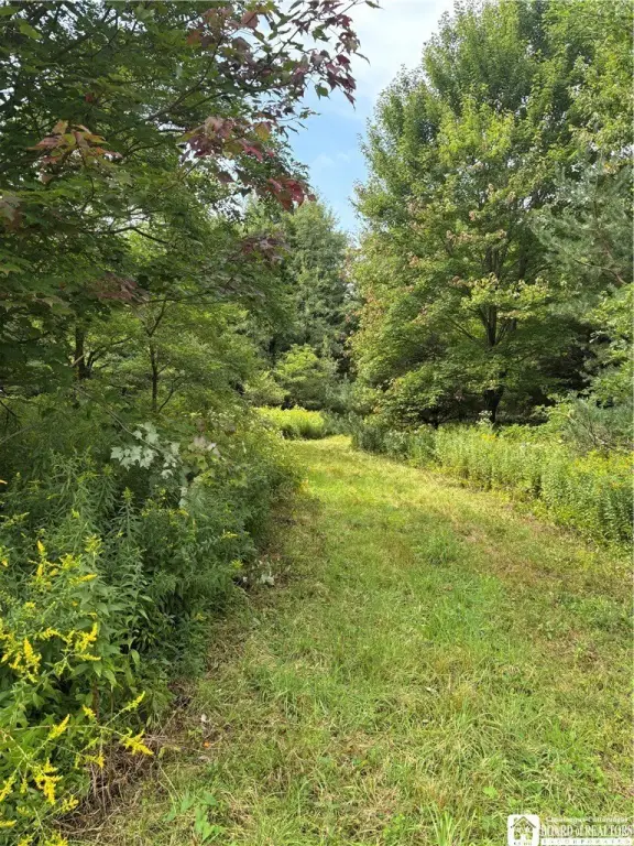 Picture 21