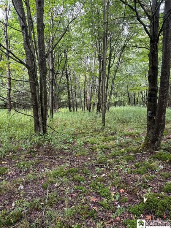 Picture 25