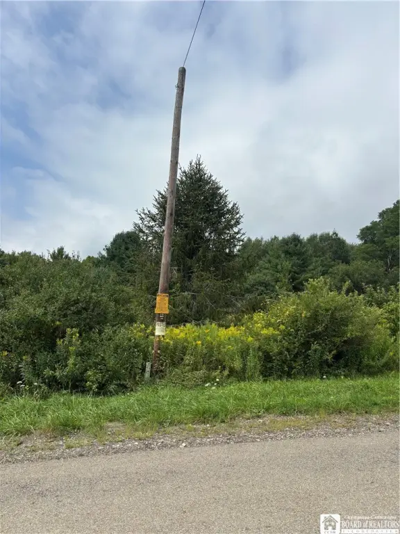Picture 22