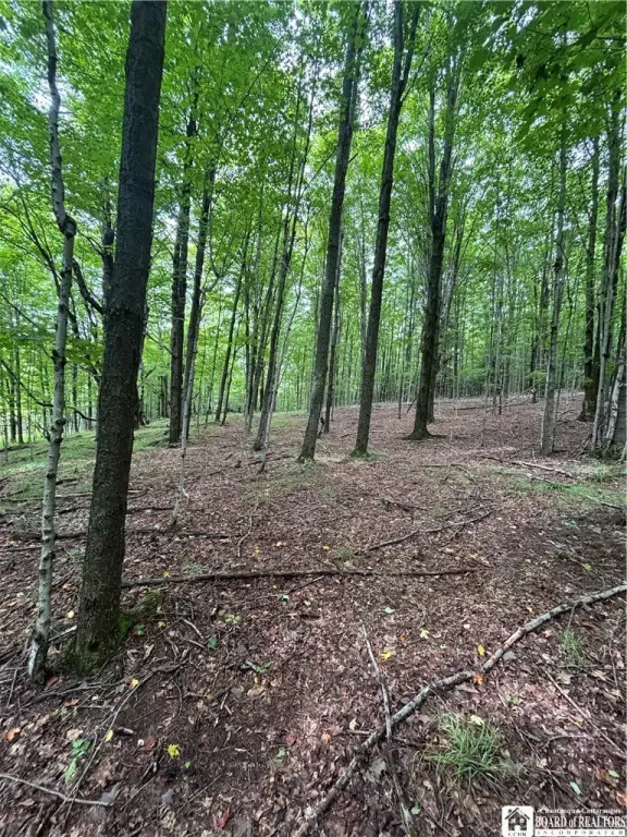 Picture 10