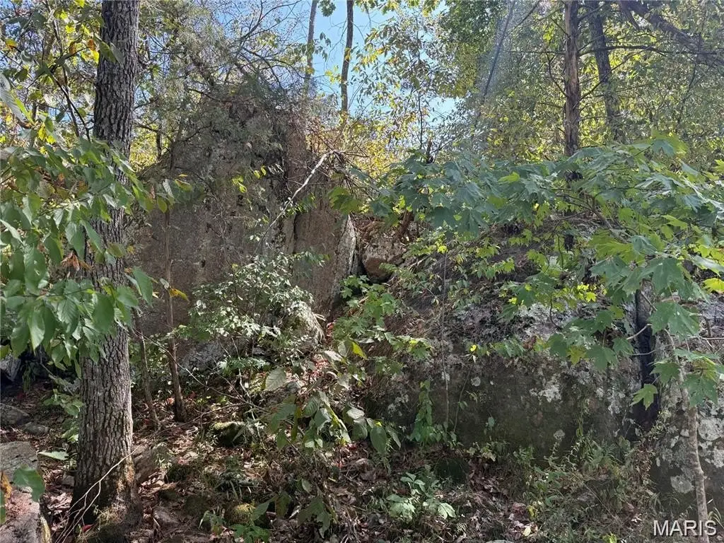 Picture 16