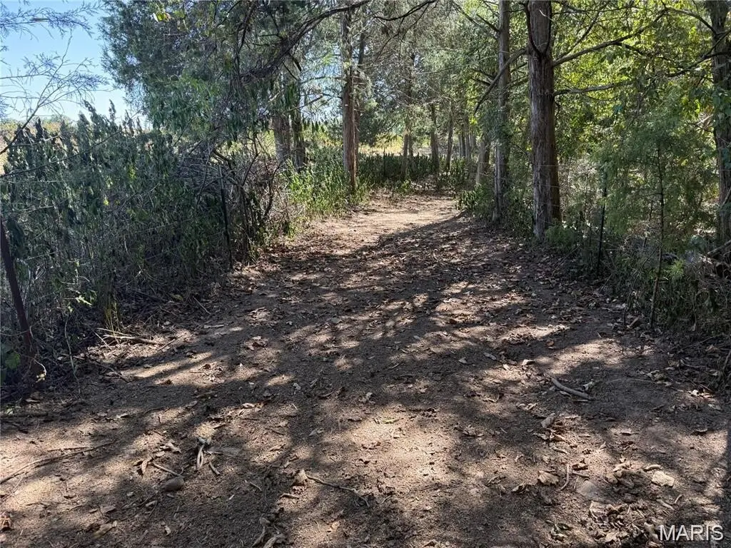 Picture 21