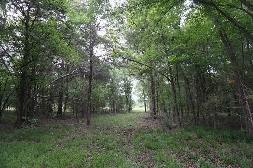 Picture 28
