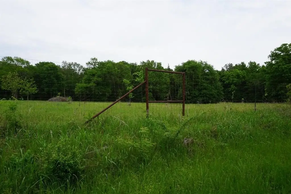 Picture 17