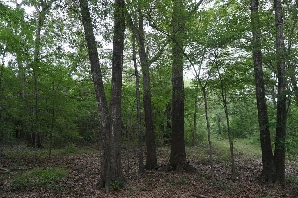 Picture 26