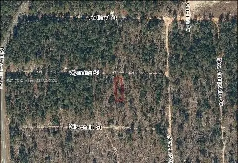 Residential Land in Hawthorne, Florida