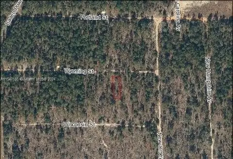 Residential Land in Hawthorne, Ocala