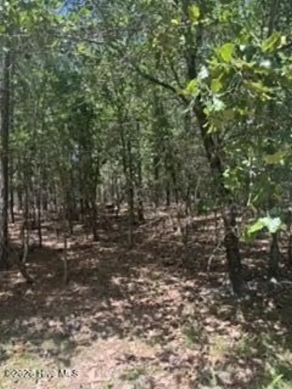 Picture 4