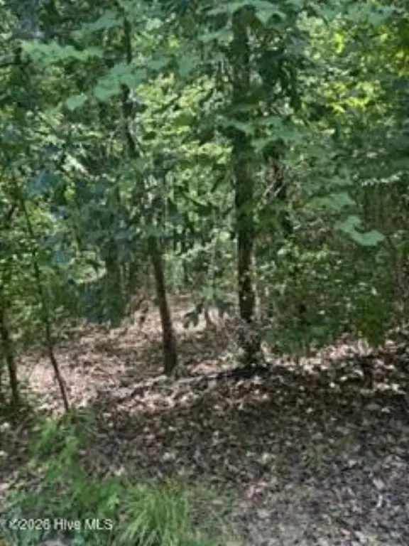 Picture 3
