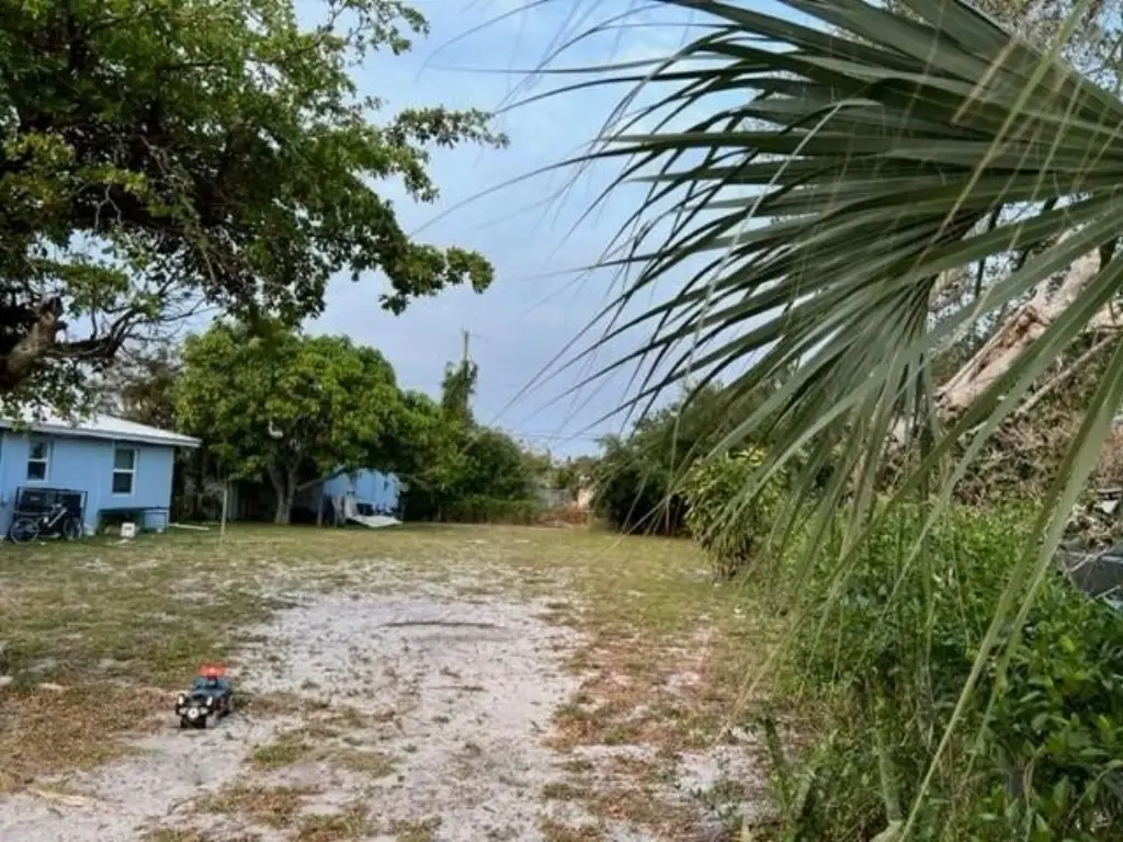 Picture 3
