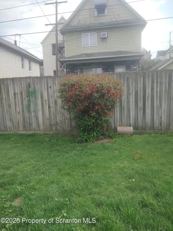 Picture 35