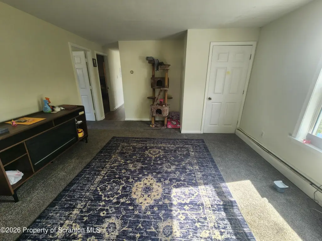 Picture 14
