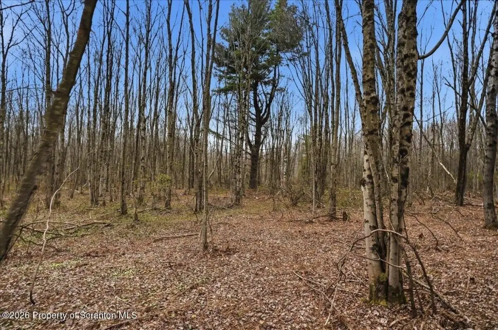 Picture 23