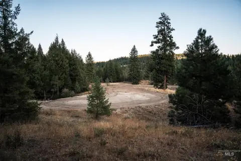 Exceptional Mountain Estate Land Opportunity