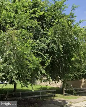 Land in Developing Philadelphia Neighborhood