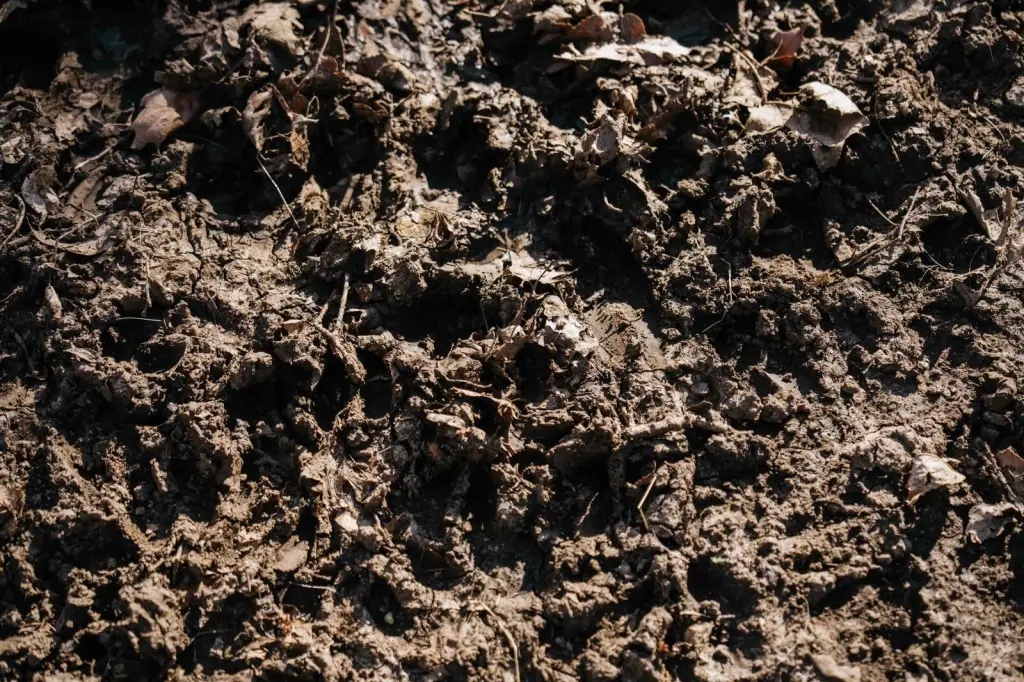 Picture 42