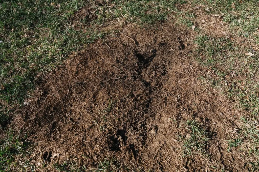 Picture 40