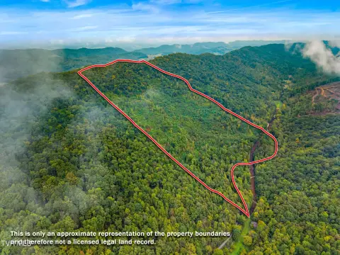 84 Acres in Sneedville, TN