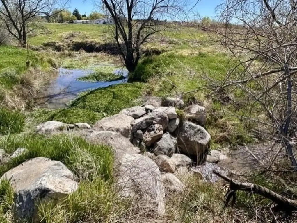 Picture 18
