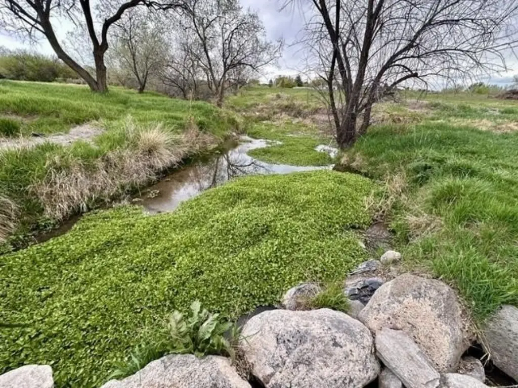 Picture 8