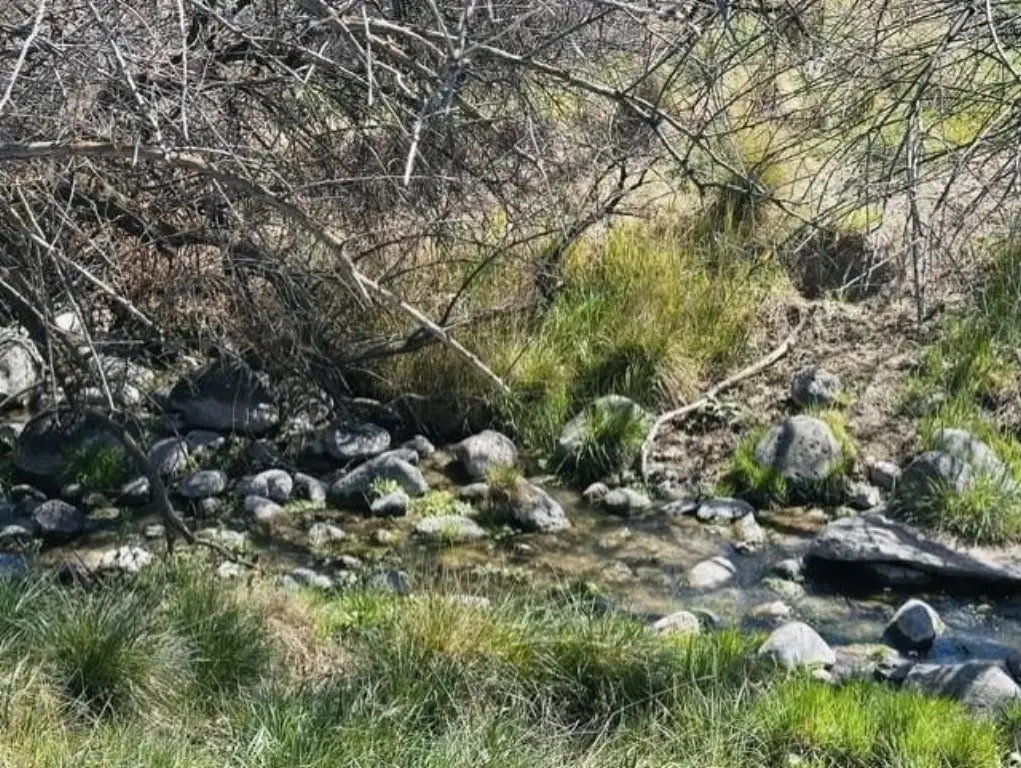 Picture 14