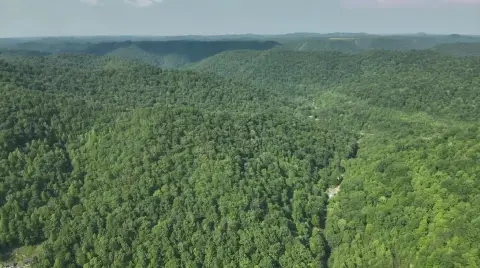 Wooton, KY Vacant Land