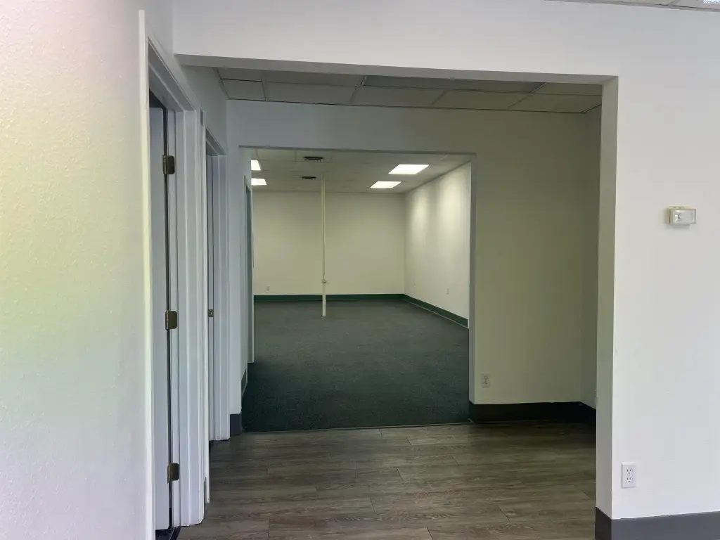 Picture 5