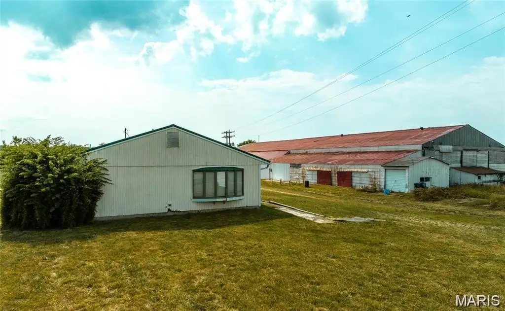 Picture 14