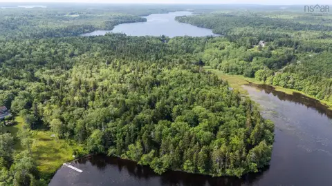 Treed Waterfront Land