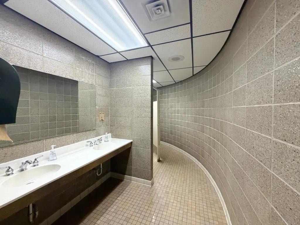 Picture 11