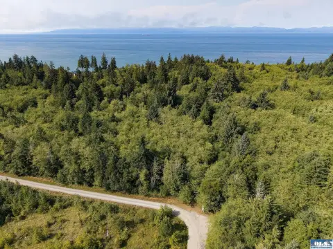 Treed Waterfront Land
