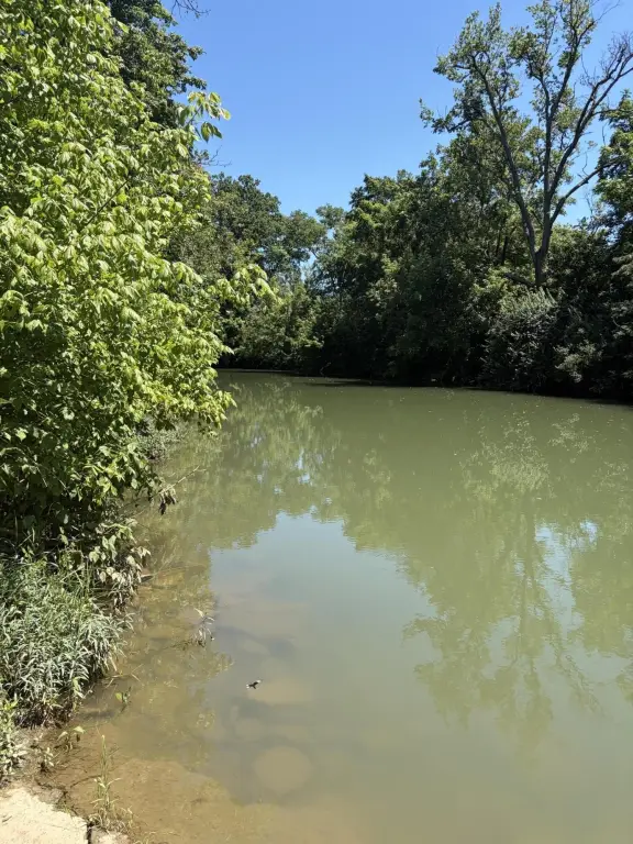 Picture 15