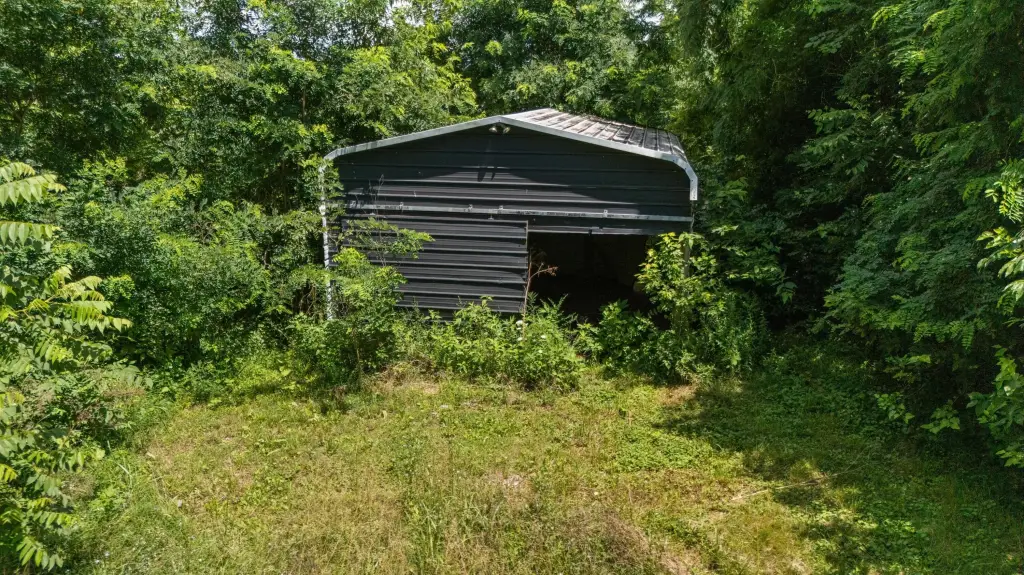 Picture 14