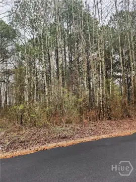 Residential Land in Bishop, Georgia