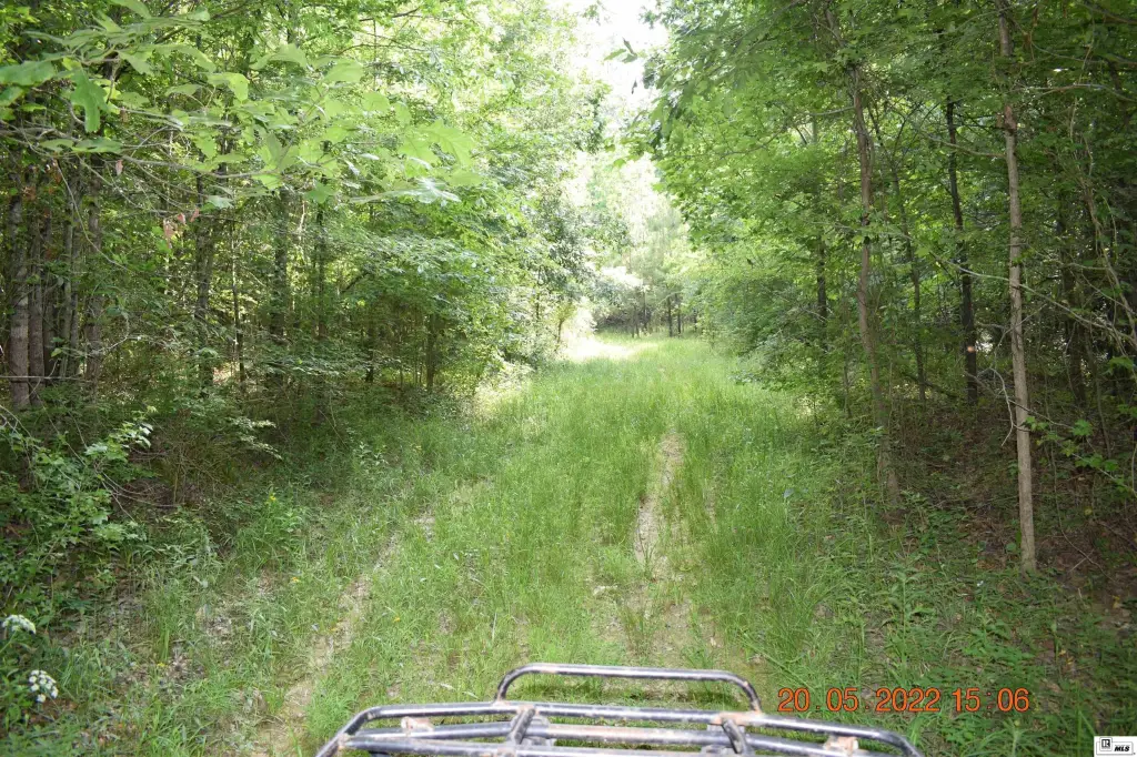 Picture 15