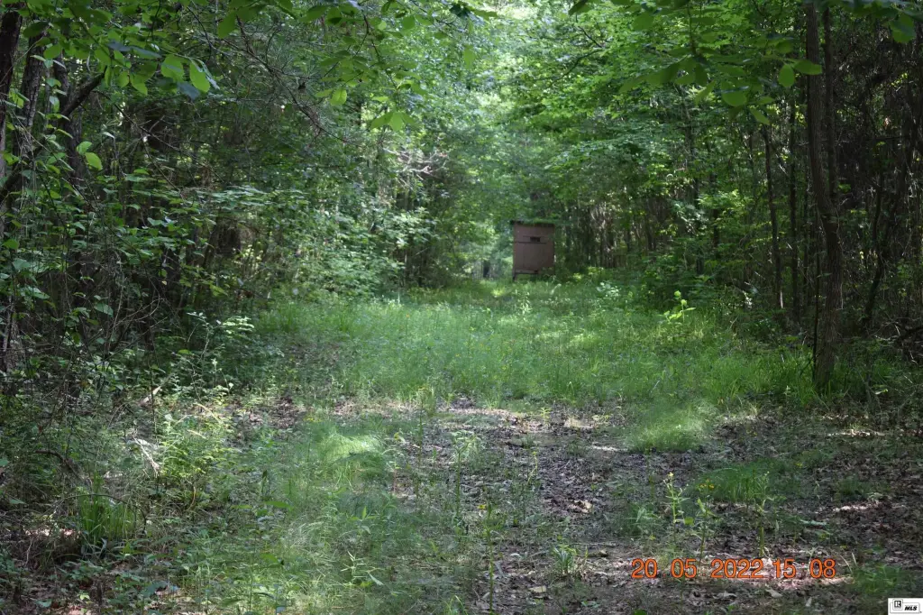 Picture 18