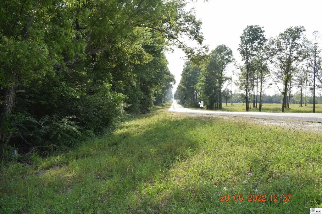 Picture 31