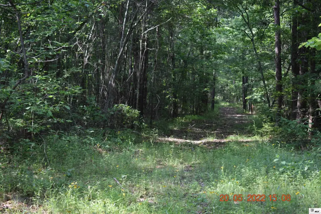 Picture 20