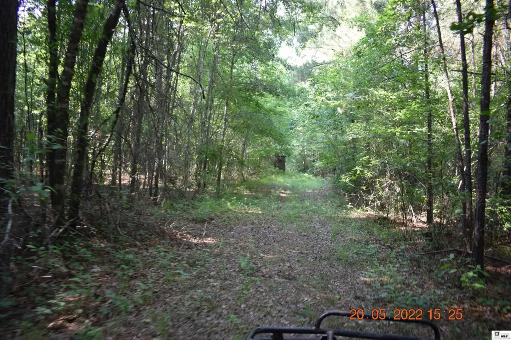 Picture 4