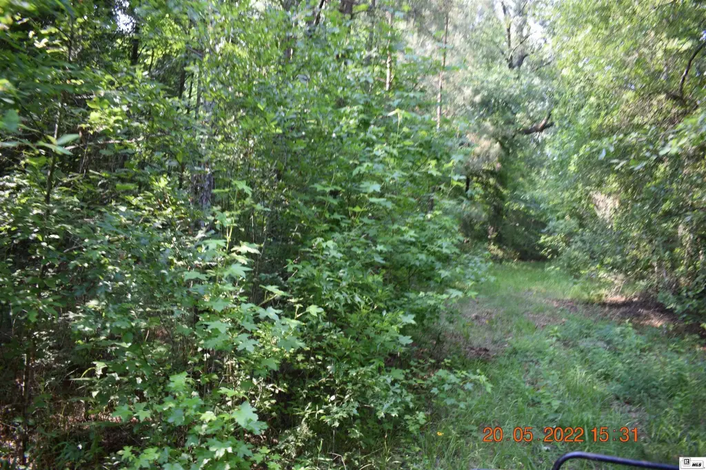 Picture 28
