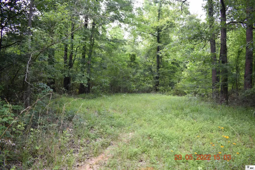 Picture 10