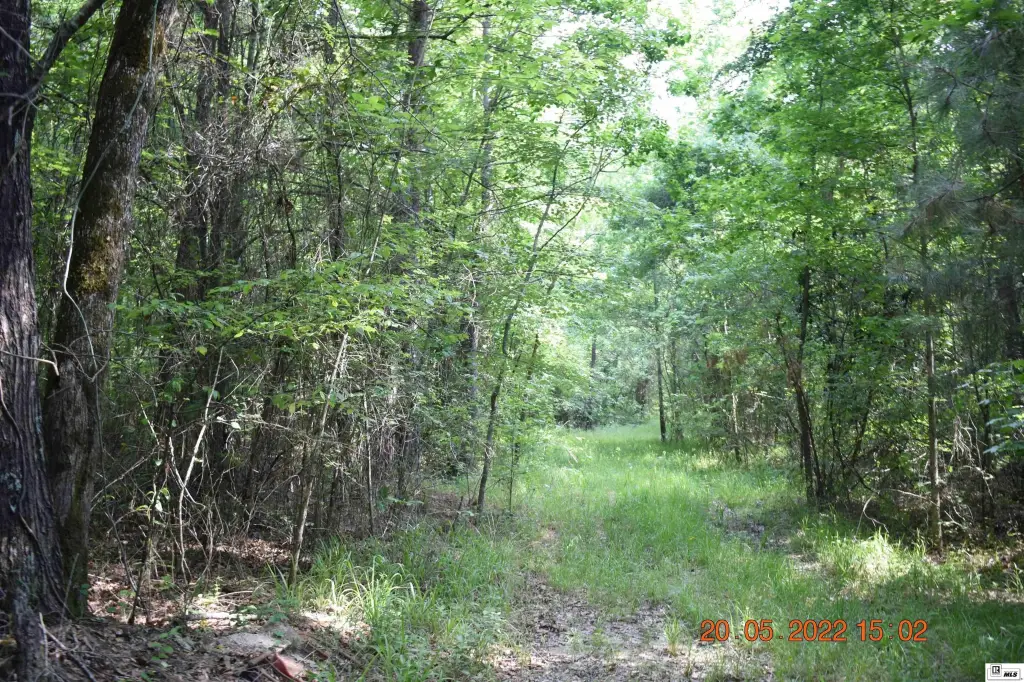Picture 7