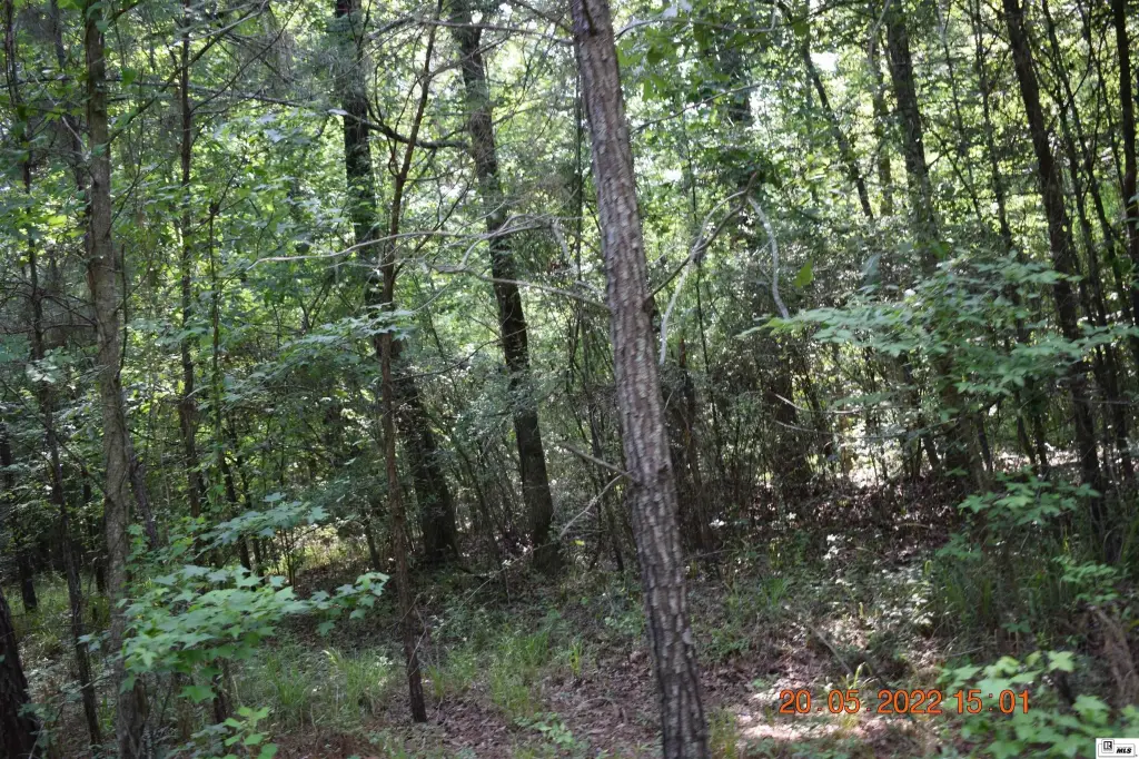 Picture 5